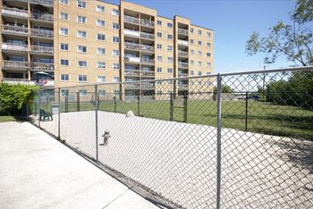Dog park